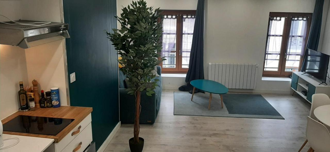Appartement Netflix Centre De Vienne Pres De Lyon ภายนอก รูปภาพ